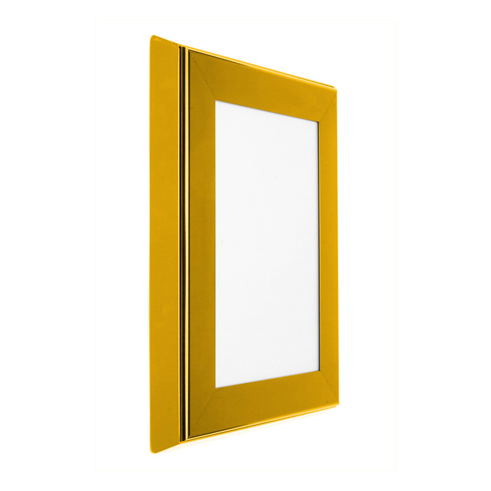 Keyless Tamperproof External Noticeboard in Gold